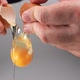 Cracking Egg 08 - VideoHive Item for Sale