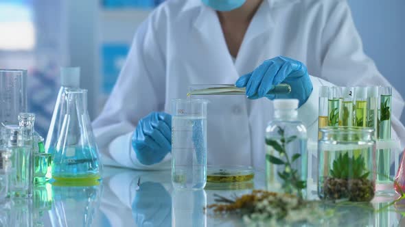 Female Chemist Pouring Cosmetic Oil in Test Liquid, Body Care Production, Aroma alt