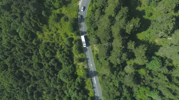 White Bus Followed by Two Cars Driving on Curvy Forest, Asphalt Road