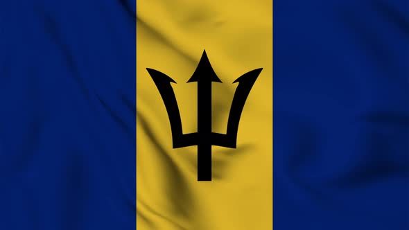 Barbados flag seamless closeup waving animation
