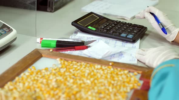 Laboratory Research of Corn Seeds alt