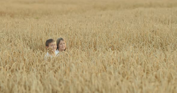 Happy Kids Walk Through Tall Ears of Wheat in a Field