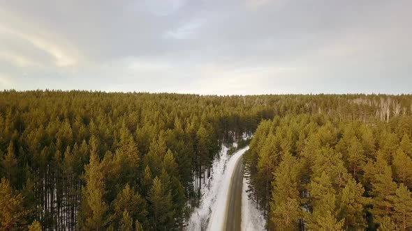 Empty Road In The Winter Forest