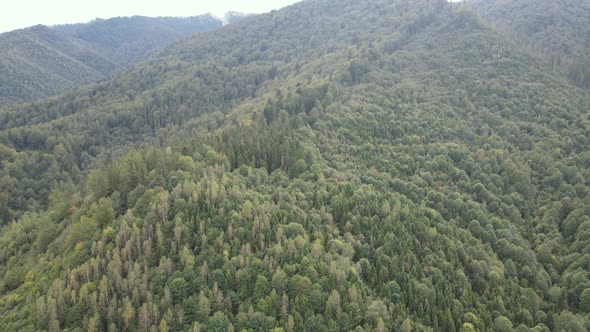 Nature of Ukraine: Carpathian Mountains Slow Motion. Aerial View alt