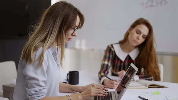 Concentrated Young Business People with Laptops in the Office Usual Work Day alt