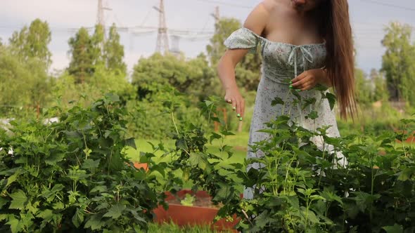 Woman Touching Tree Branches in Garden