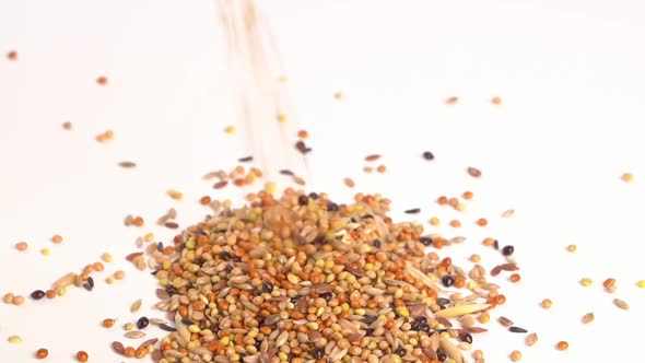 Grains Will Pour on the Table alt