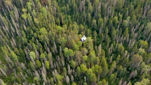 The abandoned hut in the wild forest  The hidden hut in the woods The wild Krasnoyarsk Pillars alt