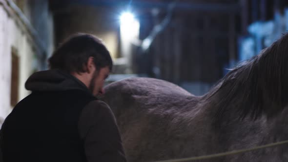 Closeup of a Man Combing a Horse alt
