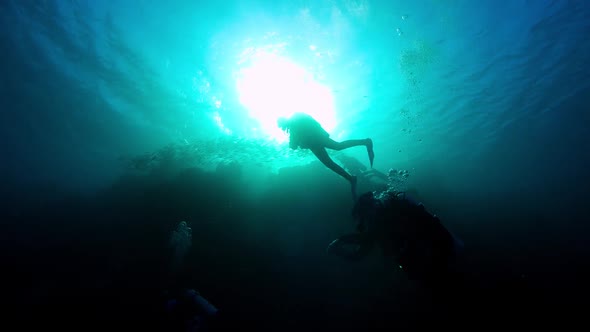 Diver Swim over Coral Reefs