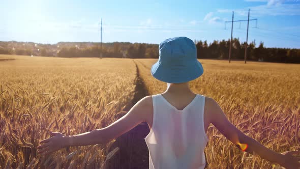 Funny Boy in a Blue Hat Walks on a Golden Wheat Field at Sunset Against a Beautiful Sky