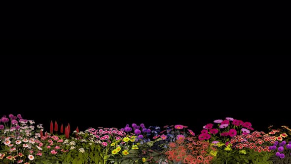 Garden Flowers 4K