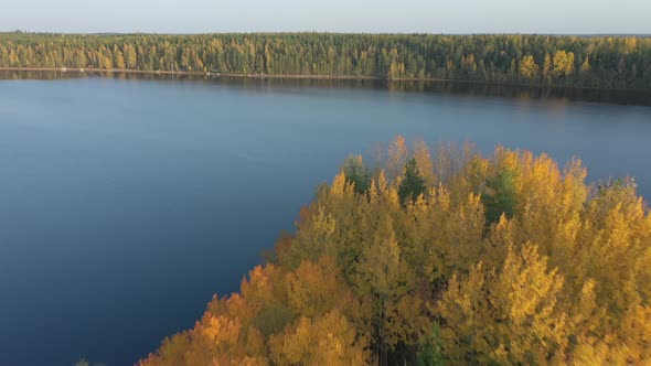 The Aerial View of the Lake Saimaa with the Golden Color Trees on the Island