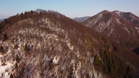 Aerial view. Flight over a snowy forest in a mountainous hilly landscape in winter alt