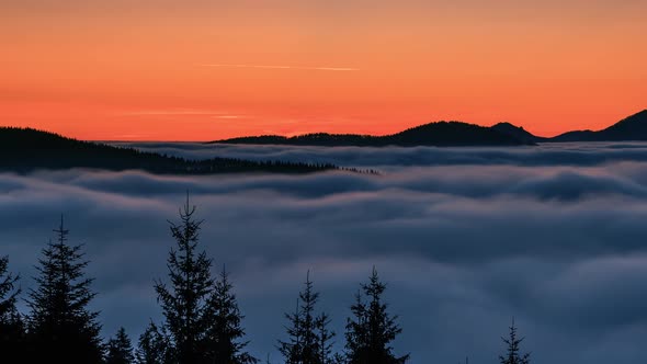 Foggy Clouds Forest Nature alt