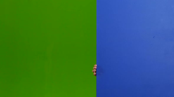 Child Looks Out From Behind an Empty Board. Green Screen alt