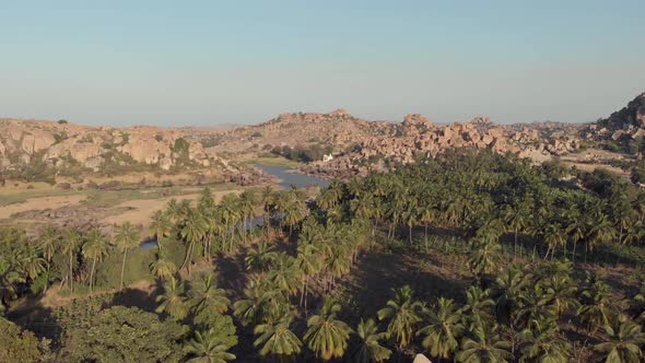 Fly over palm trees with river and hills in background.  Hampi,  Karnataka, India. alt