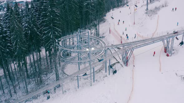 Rodelbahn in the Winter Forest in the Mountains