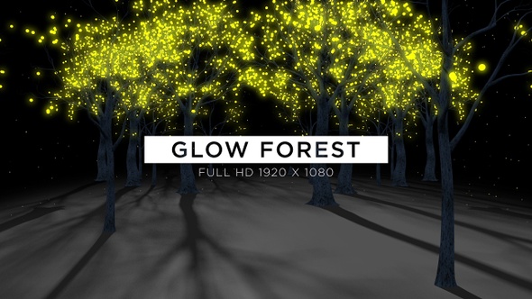 Glow Forest VJ Loops Background