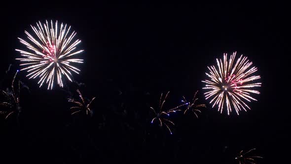 Colorful Firework display at night on sky background alt