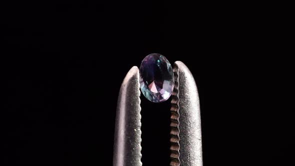 Natural Oval Alexandrite in the Tweezers on the Black Background
