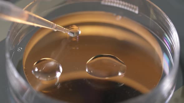 Procedure for Placing Cryoprotectant in Petri Dish alt