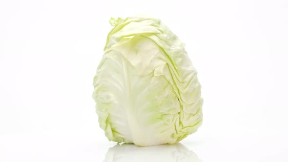 Cabbage rotation isolated on white background, Close up.