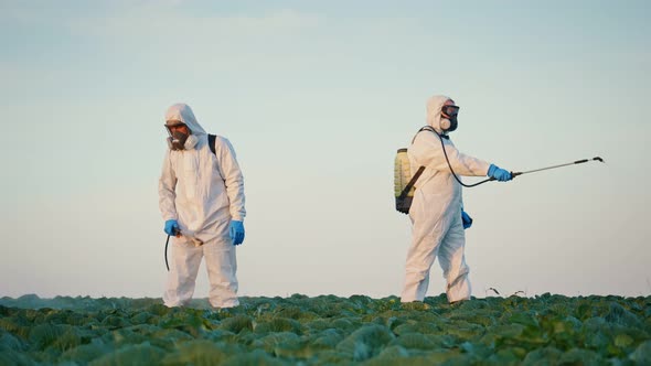Men in Protective Suits with Respirators Spray Toxic Pesticides Pesticides on Plantations alt