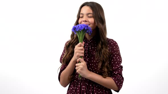 Positive Teen Girl Long Hair Hold Wildflower Flower Bouquet Smelling Centaurea Spring Flower