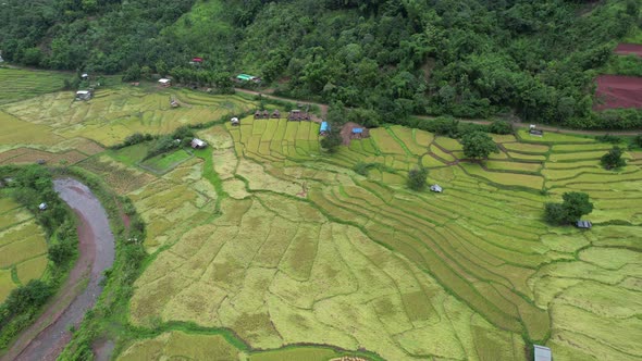 Aerial view of paddy field or rice terrace and the river in valley, Nan, Thailand by drone