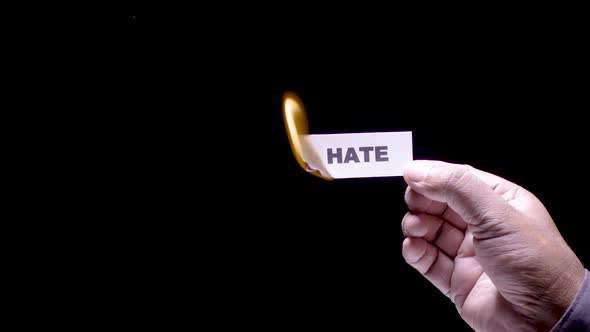 Paper Burning Hate alt