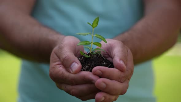 Holding Green Plant in Hands 64 alt