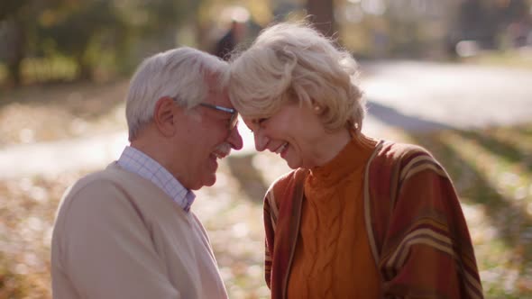 Handsome senior couple embracing in autumn park