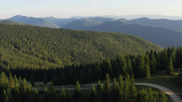 Aerial View of Mountain Peaks Covered with Dense Pine Forest alt
