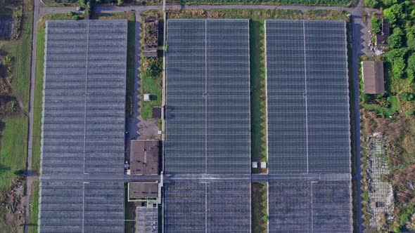 Modern Large Commercial Greenhouse Construction