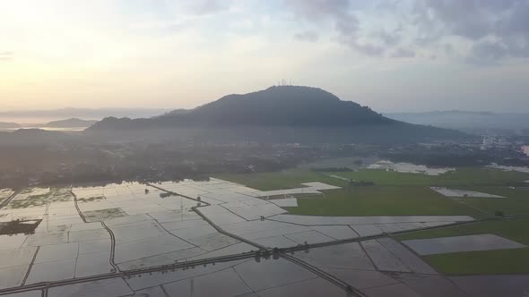 Aerial view paddy field during watering season alt