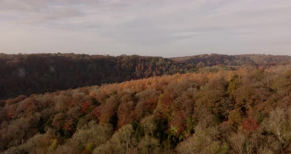 Autumn Woodland Trees Symonds Yat Aerial View Wye Valley Gloucestershire UK