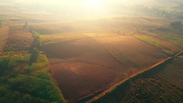 4K : Aerial view flight over the beautiful field in sunset. Countryside scenery. alt