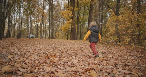 Little Boy Is Running in Forest, Moving Over Dry Foliage on Ground, Happy Time at Weekend at Nature alt