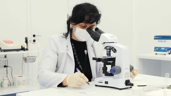 Scientist Examines Microorganisms Under A Microscope. Examination Of The Virus Under A Microscope
