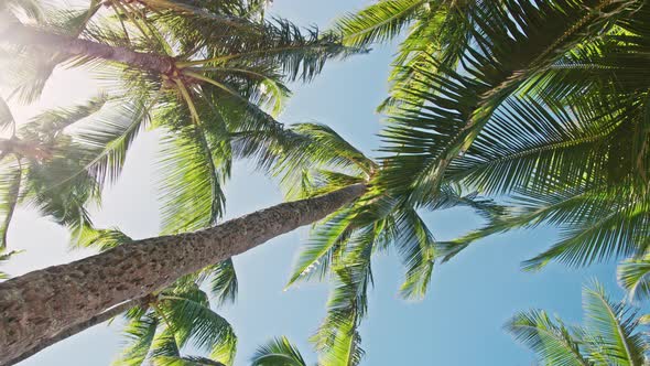 Vertical Mobile Content Relax on Tropical Ocean Beach Travel to Paradise Beach alt