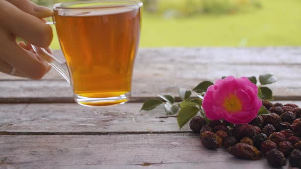 Dried Rose Hips and Rosehip Decoction alt