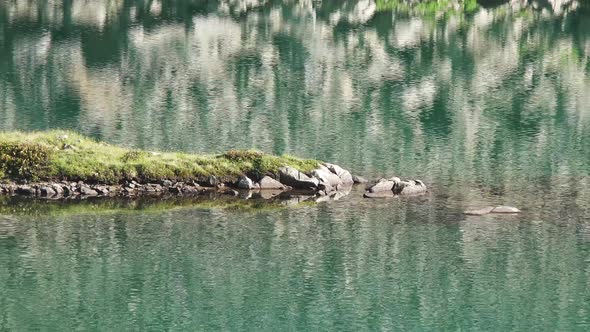 Small Island in the Lake alt