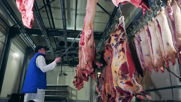 A Man Works with Pig Carcasses at Slaughterhouse. alt