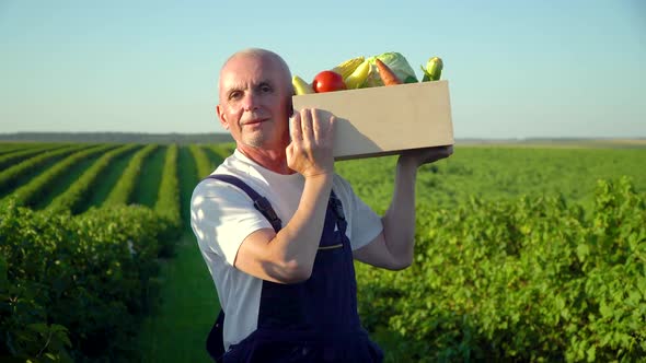 Happy Senior Farmer Walking with a Box of Organic Vegetables and Looking at Camera alt