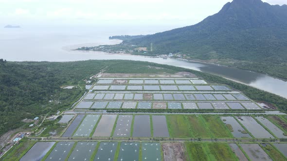 Prawn Fish Farm Aerial alt