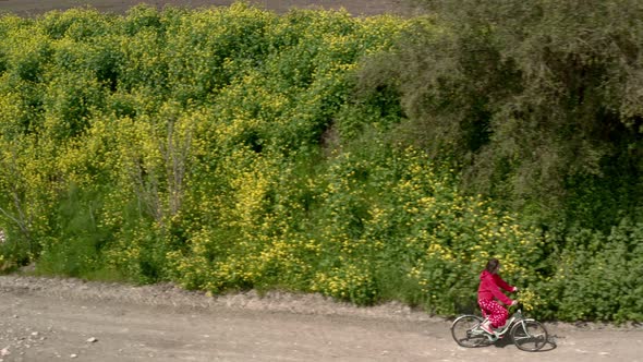 A Girl in a Red Jacket Rides a Bicycle in the Countryside Next To Blooming Flowers alt