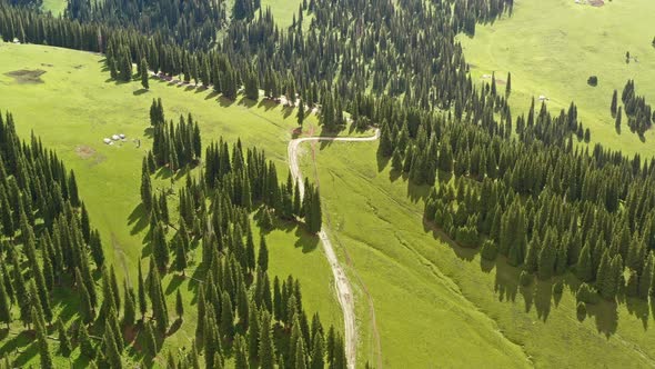 Nalati grassland and mountains in a fine day alt