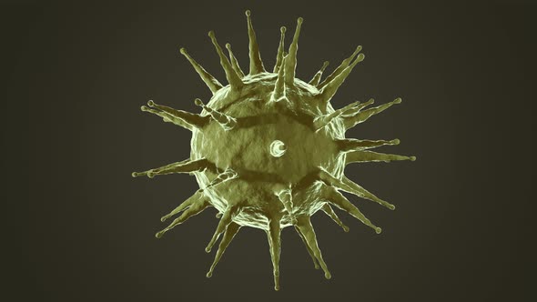 The virus Coronavirus (COVID-19) medical animation.