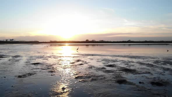 Slow motion : Aerial view of a pond or lake at sunset. An heron takes flight alt